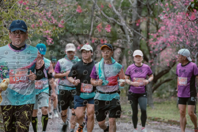 2026左岸竹東櫻花馬拉松Zhudong Sakura Marathon