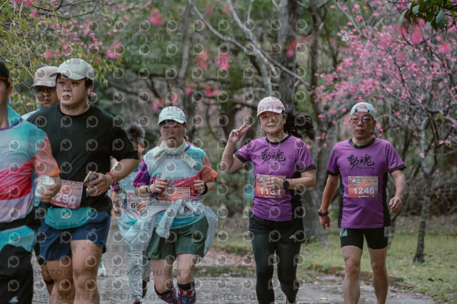 2026左岸竹東櫻花馬拉松Zhudong Sakura Marathon