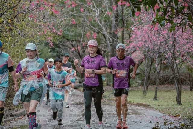 2026左岸竹東櫻花馬拉松Zhudong Sakura Marathon