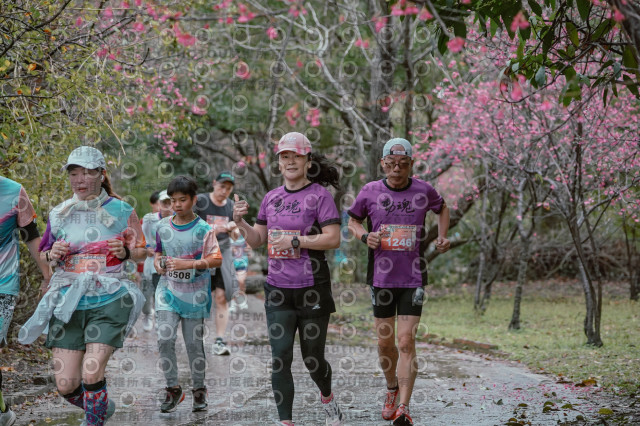 2026左岸竹東櫻花馬拉松Zhudong Sakura Marathon