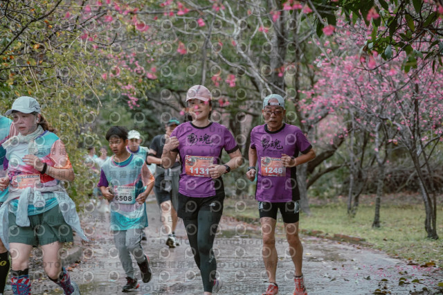 2026左岸竹東櫻花馬拉松Zhudong Sakura Marathon