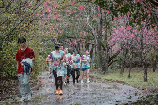 2026左岸竹東櫻花馬拉松Zhudong Sakura Marathon