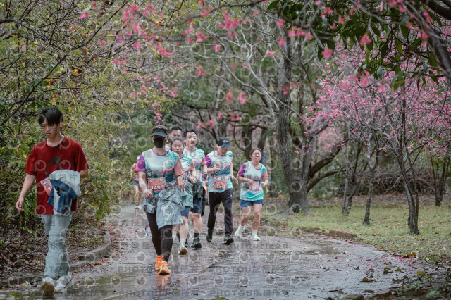 2026左岸竹東櫻花馬拉松Zhudong Sakura Marathon