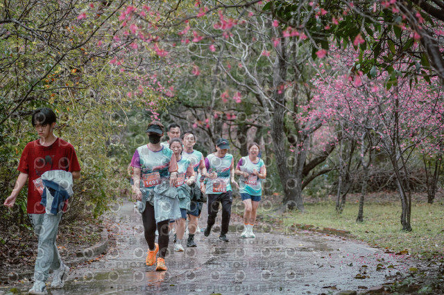 2026左岸竹東櫻花馬拉松Zhudong Sakura Marathon
