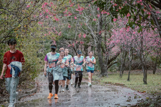 2026左岸竹東櫻花馬拉松Zhudong Sakura Marathon