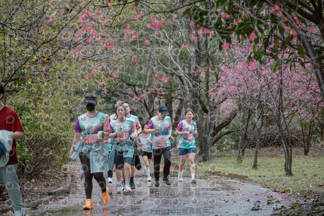 2026左岸竹東櫻花馬拉松Zhudong Sakura Marathon