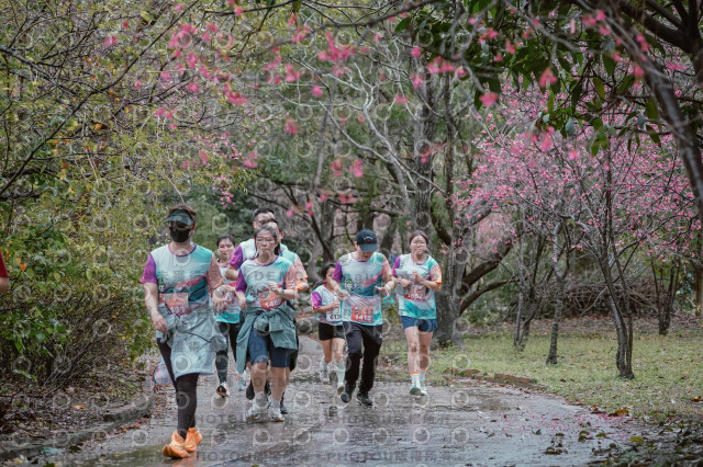 2026左岸竹東櫻花馬拉松Zhudong Sakura Marathon