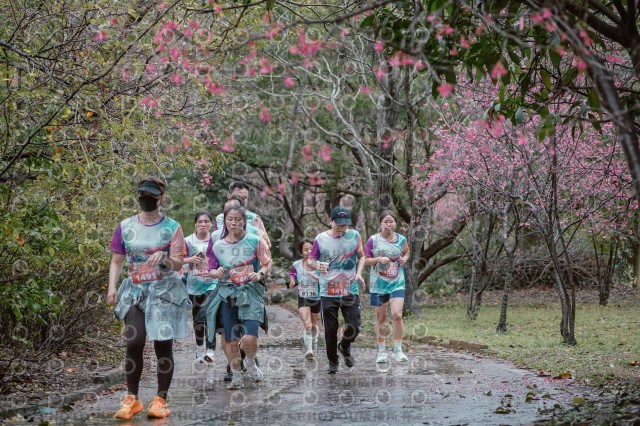 2026左岸竹東櫻花馬拉松Zhudong Sakura Marathon