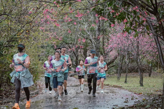 2026左岸竹東櫻花馬拉松Zhudong Sakura Marathon