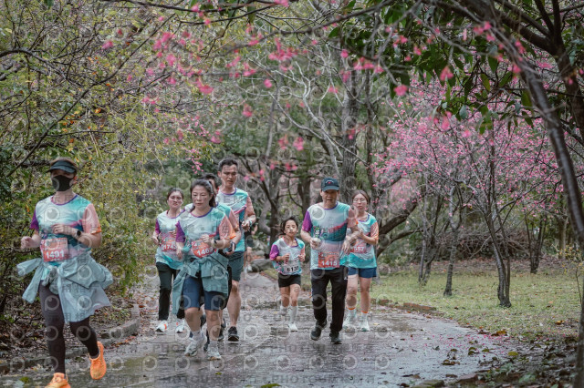 2026左岸竹東櫻花馬拉松Zhudong Sakura Marathon