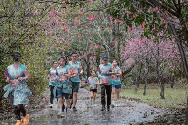 2026左岸竹東櫻花馬拉松Zhudong Sakura Marathon