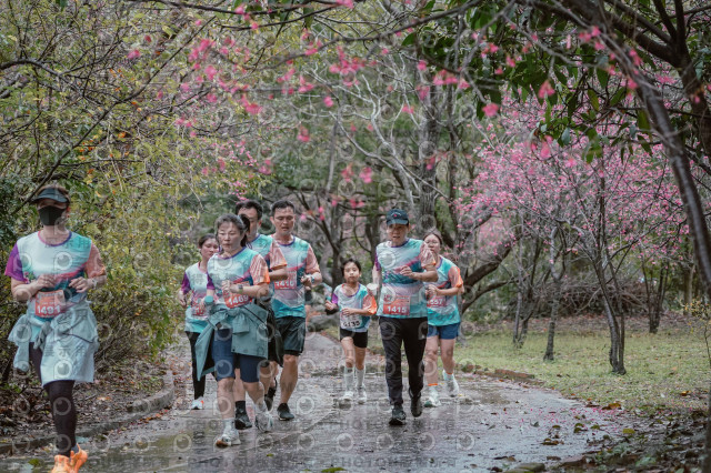 2026左岸竹東櫻花馬拉松Zhudong Sakura Marathon