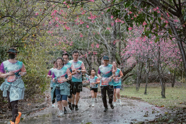 2026左岸竹東櫻花馬拉松Zhudong Sakura Marathon