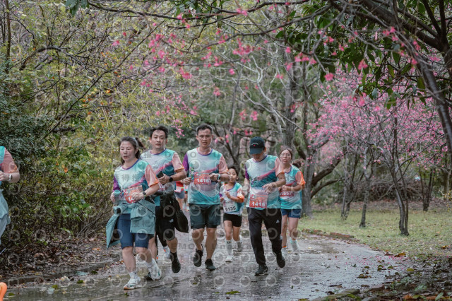 2026左岸竹東櫻花馬拉松Zhudong Sakura Marathon