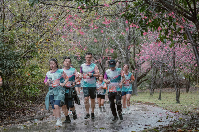 2026左岸竹東櫻花馬拉松Zhudong Sakura Marathon