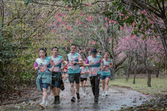 2026左岸竹東櫻花馬拉松Zhudong Sakura Marathon