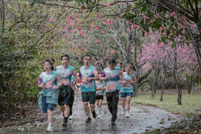 2026左岸竹東櫻花馬拉松Zhudong Sakura Marathon