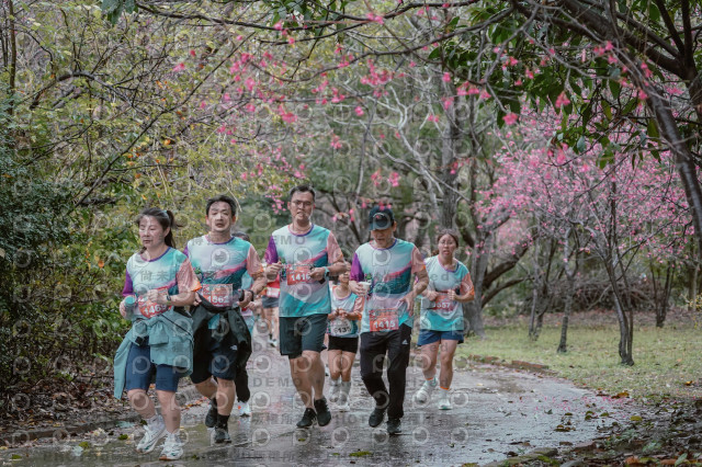 2026左岸竹東櫻花馬拉松Zhudong Sakura Marathon