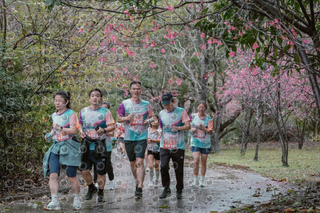 2026左岸竹東櫻花馬拉松Zhudong Sakura Marathon