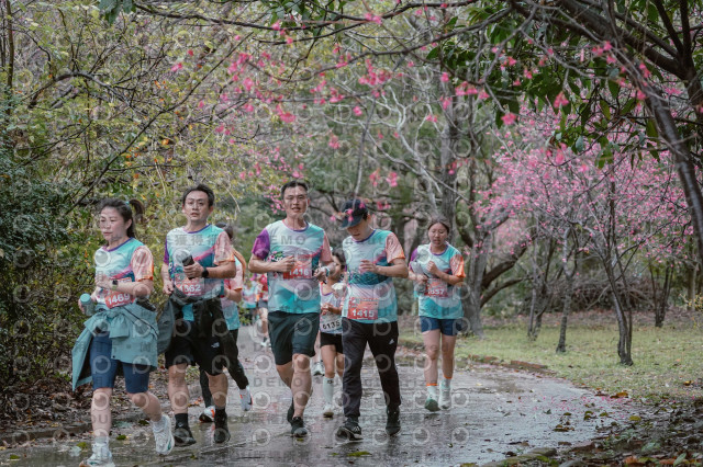 2026左岸竹東櫻花馬拉松Zhudong Sakura Marathon
