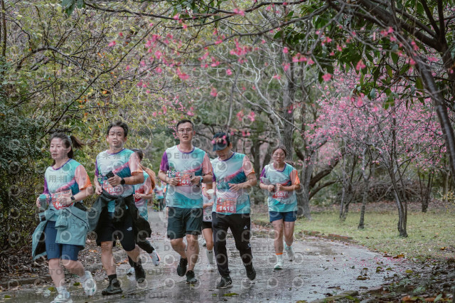 2026左岸竹東櫻花馬拉松Zhudong Sakura Marathon