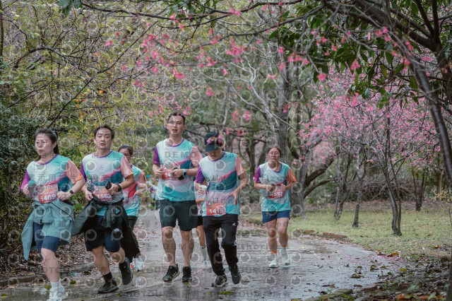 2026左岸竹東櫻花馬拉松Zhudong Sakura Marathon