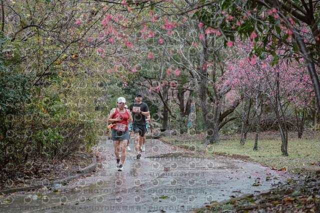 2026左岸竹東櫻花馬拉松Zhudong Sakura Marathon