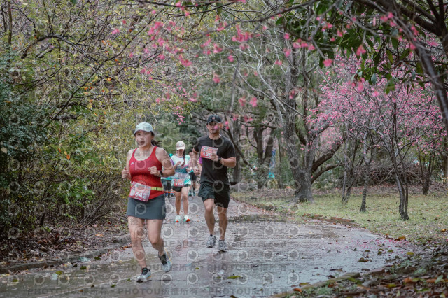 2026左岸竹東櫻花馬拉松Zhudong Sakura Marathon
