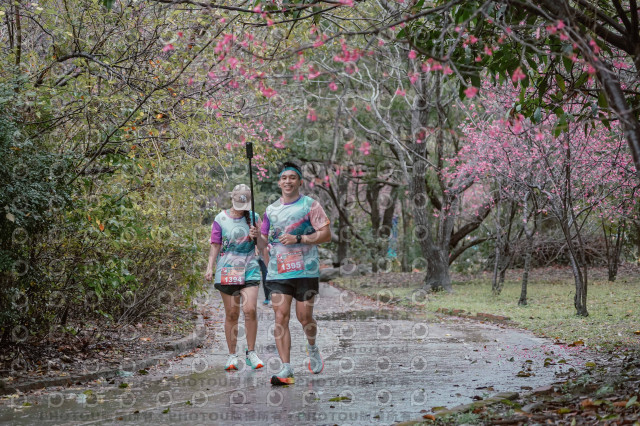 2026左岸竹東櫻花馬拉松Zhudong Sakura Marathon