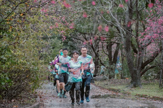 2026左岸竹東櫻花馬拉松Zhudong Sakura Marathon