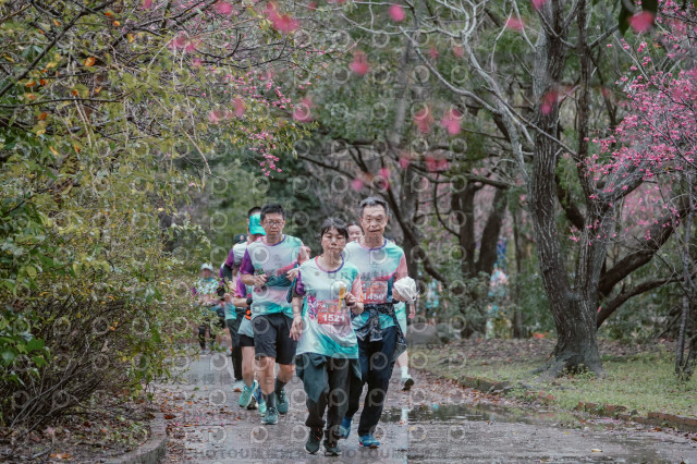 2026左岸竹東櫻花馬拉松Zhudong Sakura Marathon