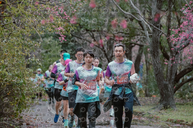 2026左岸竹東櫻花馬拉松Zhudong Sakura Marathon