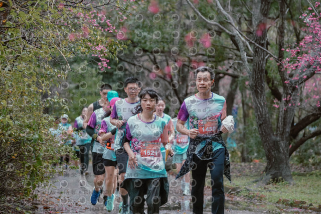 2026左岸竹東櫻花馬拉松Zhudong Sakura Marathon