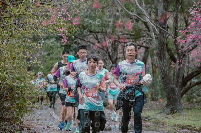 2026左岸竹東櫻花馬拉松Zhudong Sakura Marathon