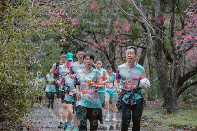 2026左岸竹東櫻花馬拉松Zhudong Sakura Marathon