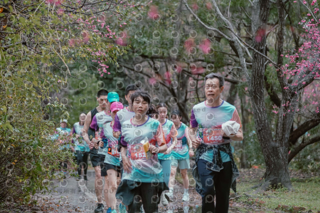 2026左岸竹東櫻花馬拉松Zhudong Sakura Marathon