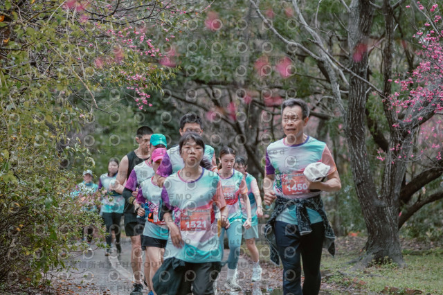 2026左岸竹東櫻花馬拉松Zhudong Sakura Marathon