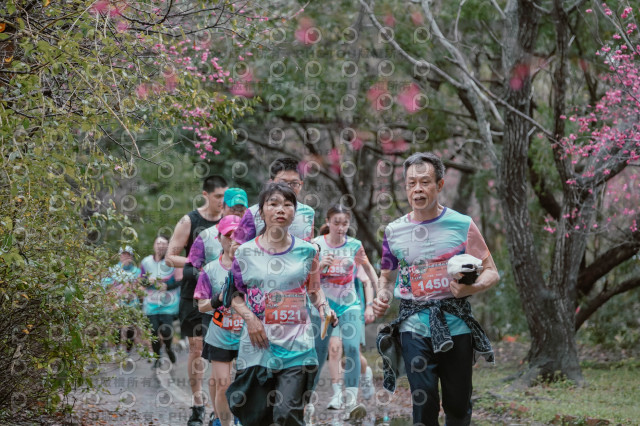 2026左岸竹東櫻花馬拉松Zhudong Sakura Marathon
