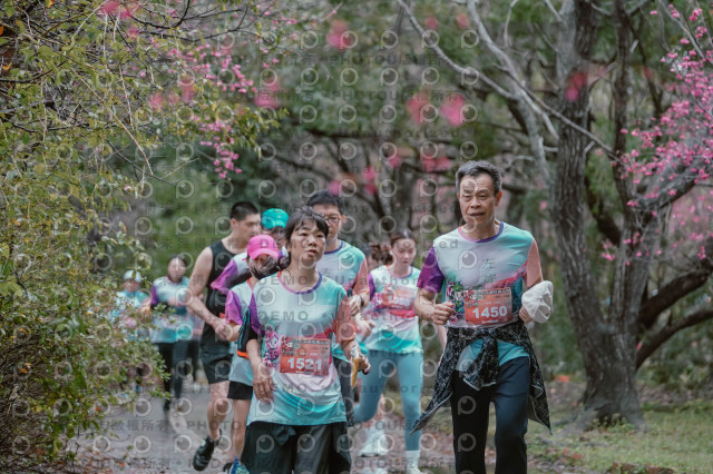 2026左岸竹東櫻花馬拉松Zhudong Sakura Marathon