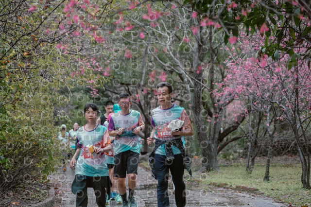 2026左岸竹東櫻花馬拉松Zhudong Sakura Marathon