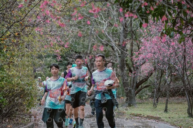 2026左岸竹東櫻花馬拉松Zhudong Sakura Marathon