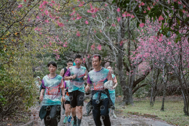 2026左岸竹東櫻花馬拉松Zhudong Sakura Marathon