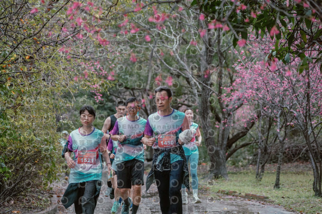 2026左岸竹東櫻花馬拉松Zhudong Sakura Marathon