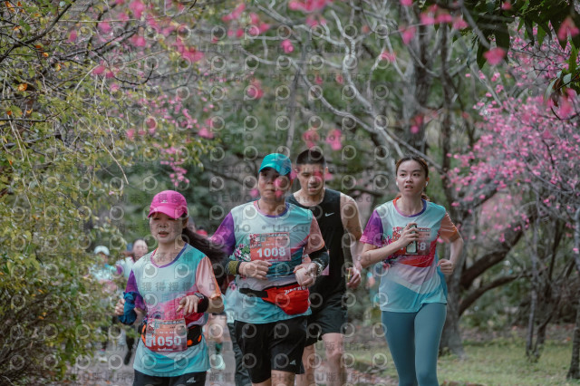 2026左岸竹東櫻花馬拉松Zhudong Sakura Marathon