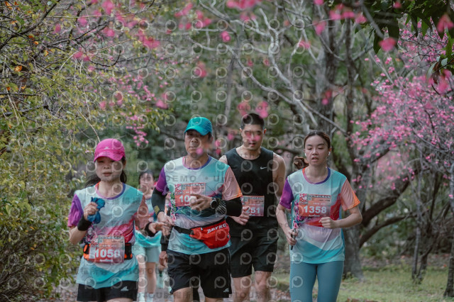 2026左岸竹東櫻花馬拉松Zhudong Sakura Marathon