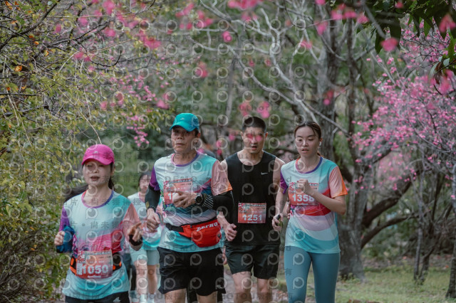 2026左岸竹東櫻花馬拉松Zhudong Sakura Marathon