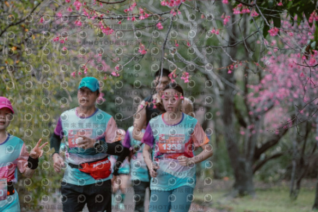 2026左岸竹東櫻花馬拉松Zhudong Sakura Marathon