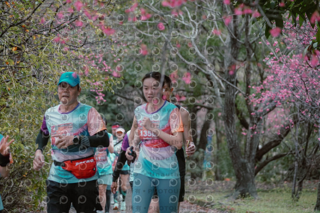 2026左岸竹東櫻花馬拉松Zhudong Sakura Marathon