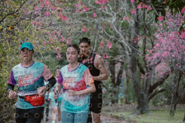 2026左岸竹東櫻花馬拉松Zhudong Sakura Marathon