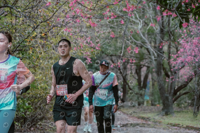 2026左岸竹東櫻花馬拉松Zhudong Sakura Marathon